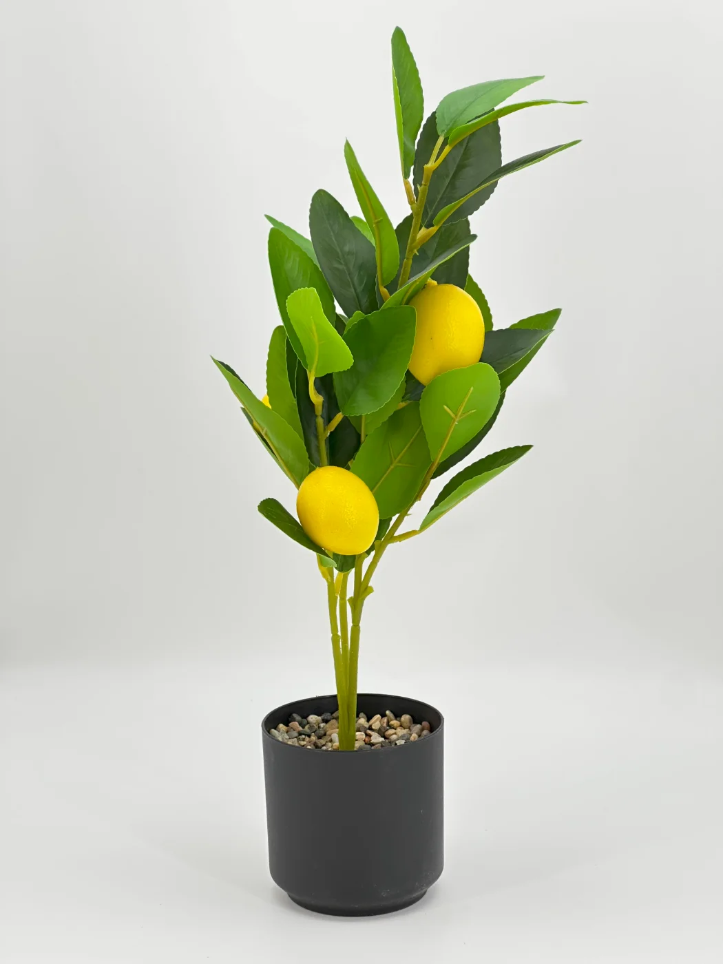 Emeli gül limon mandarin agajy