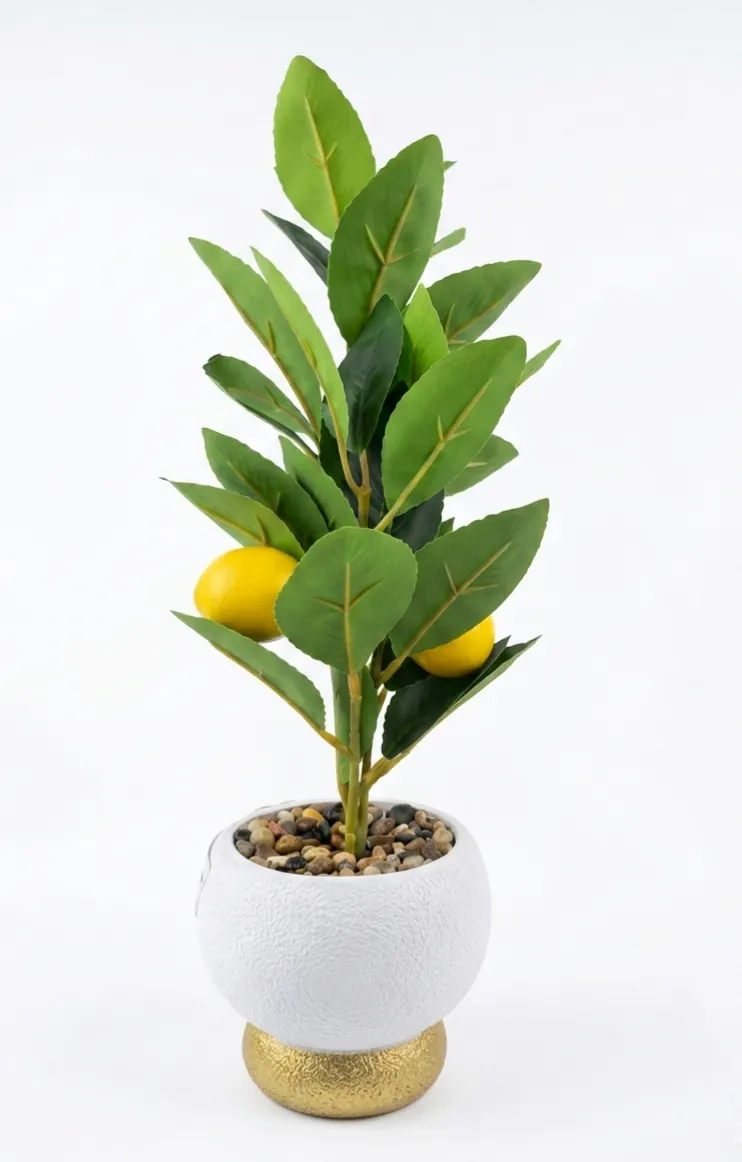 Emeli gül limon